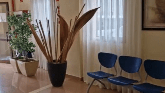 elyten interior 2