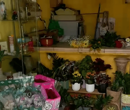 floristería arcoiris interior º