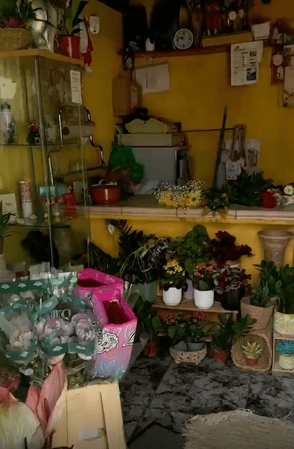 floristería arcoiris interior º
