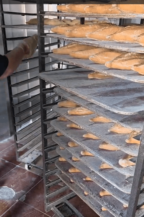 panadería las canteras interior 1