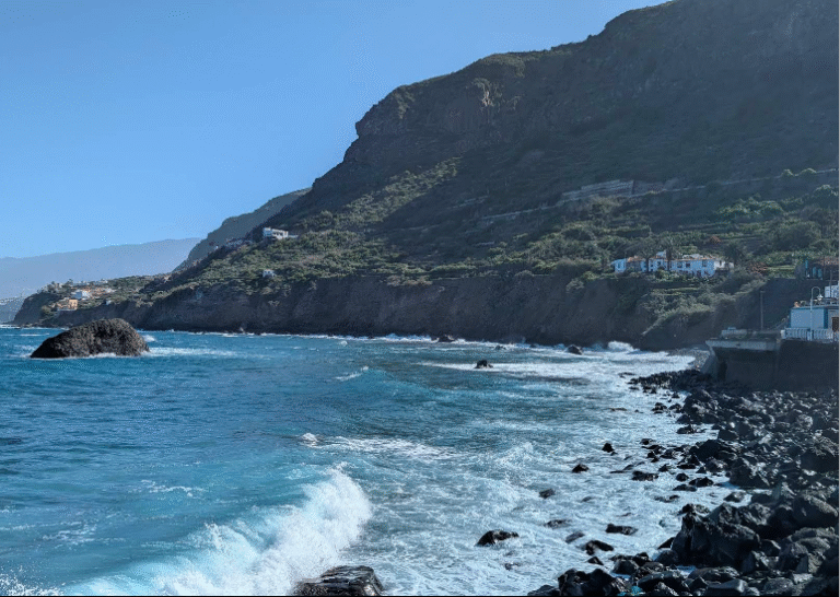 Captura1 768x546