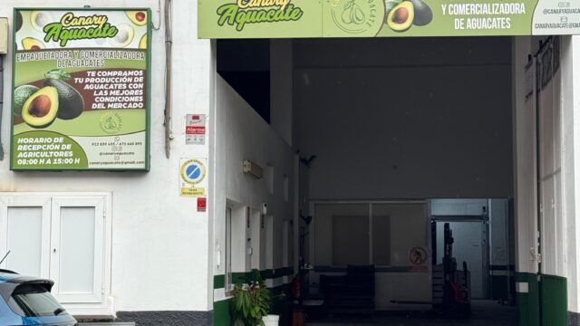 WhatsApp Image 2026-04-28 at 08.32.55