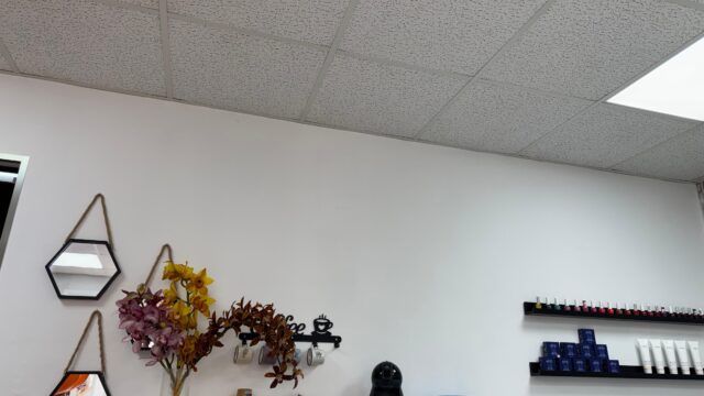 WhatsApp Image 2026-05-04 at 16.38.47