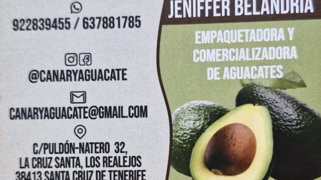 tarjeta trasera canary aguacate