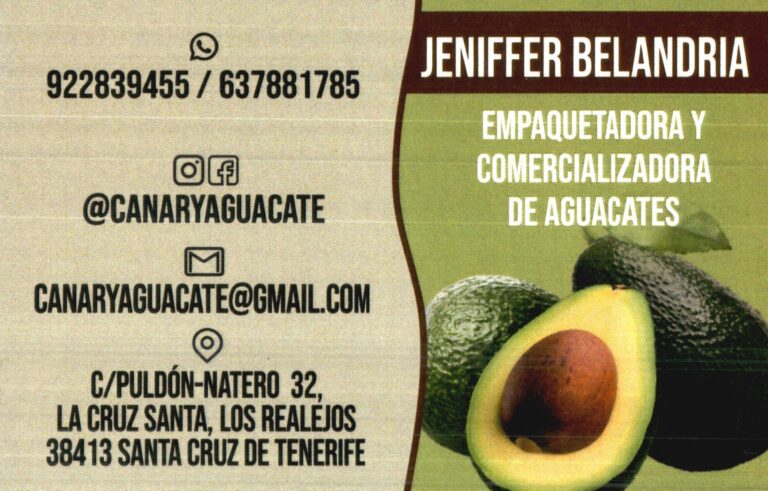 Canary Aguacate 768x491