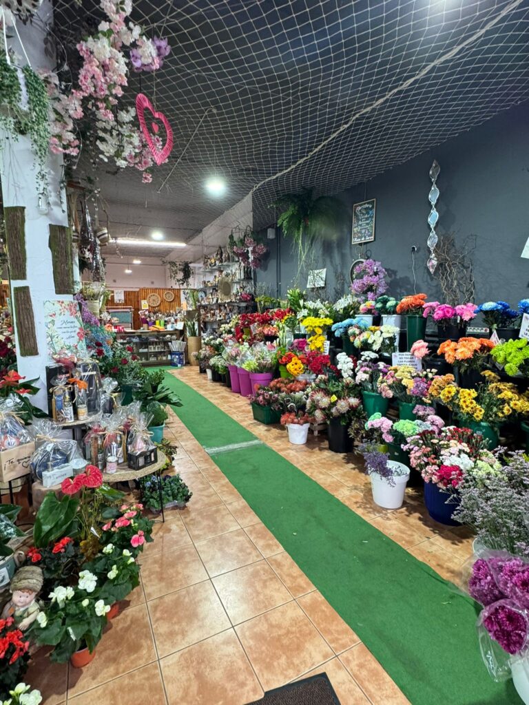 WhatsApp Image 2026 01 29 at 13.36.37 1 768x1024