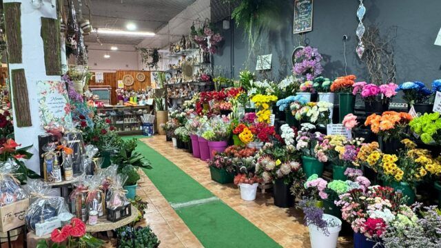 WhatsApp Image 2026-01-29 at 13.36.37 (1)