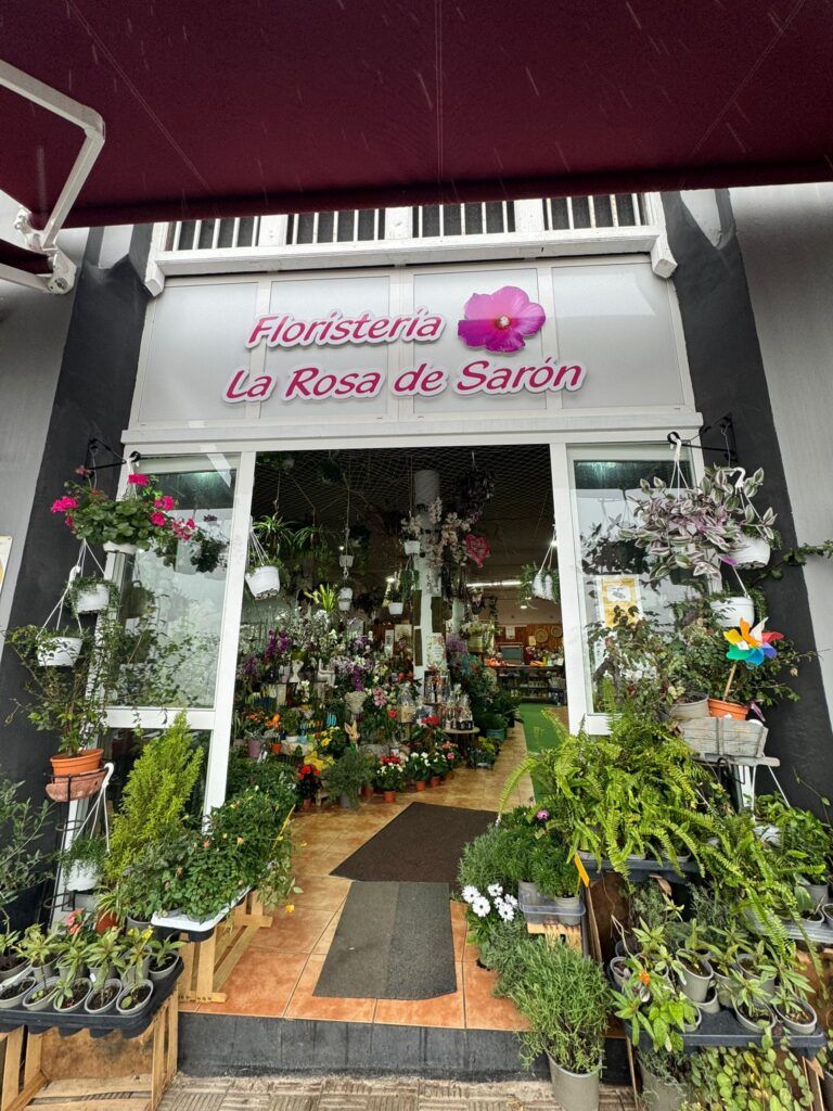 WhatsApp Image 2026-01-29 at 13.36.37 (2)